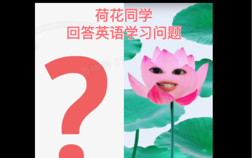 荷花同学回答英语学习问题 英语干货分享 (欢迎大家提出意见 我会慢慢改正滴)哔哩哔哩bilibili