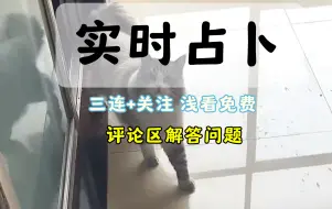 Download Video: 【实时占卜】浅算当然免费，准备离谱