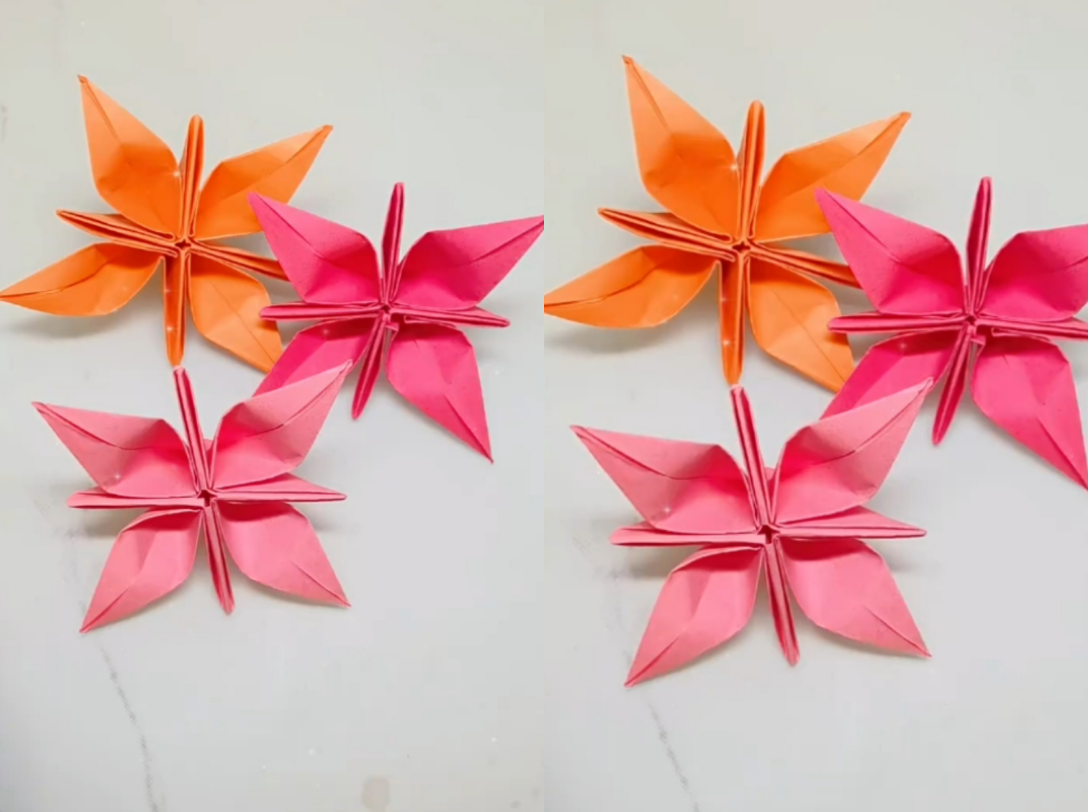 折纸教程几秒学会这个星星花也太漂亮了吧快学起来
