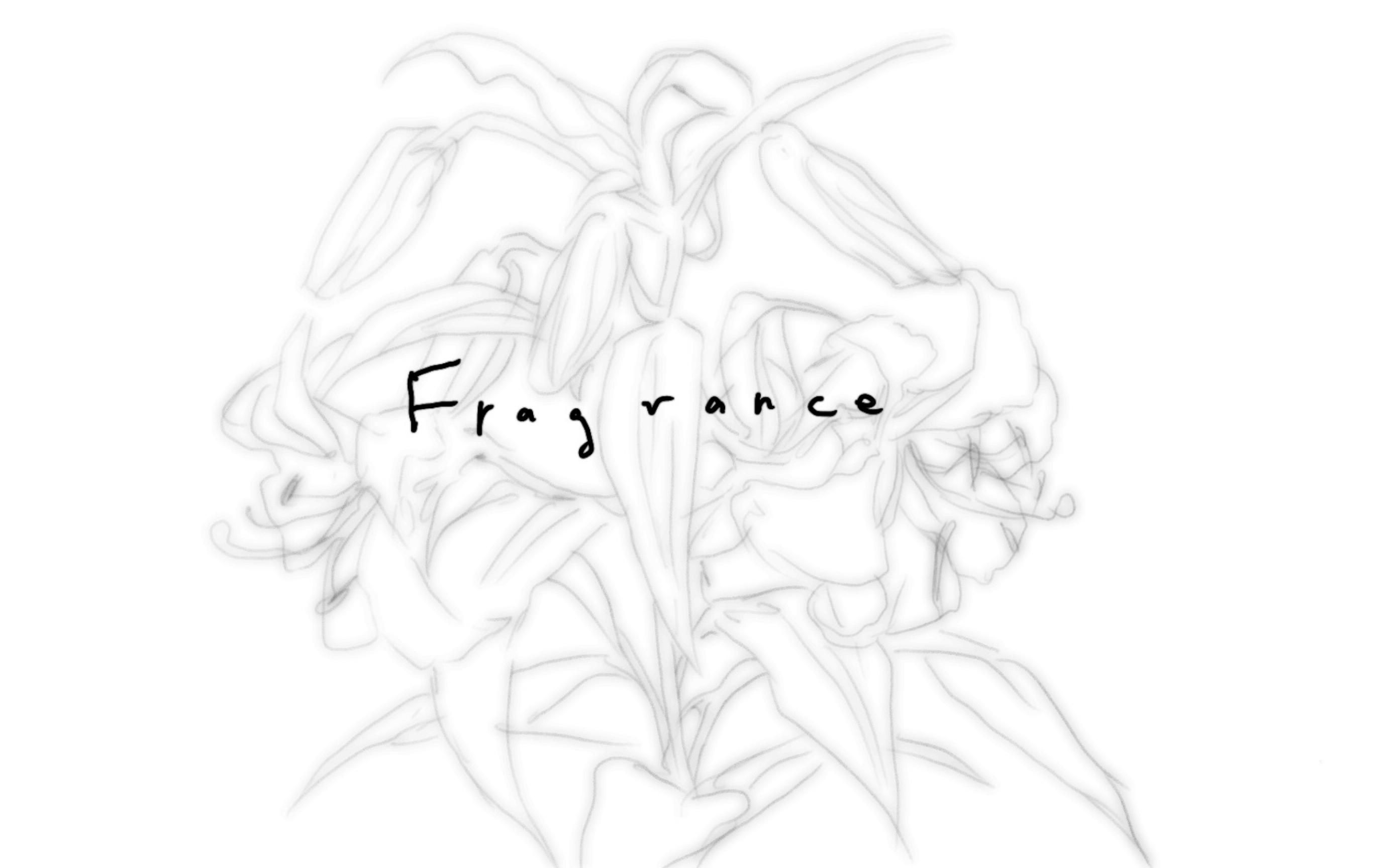 Fragrance【原创动画央美版画系2022】哔哩哔哩bilibili