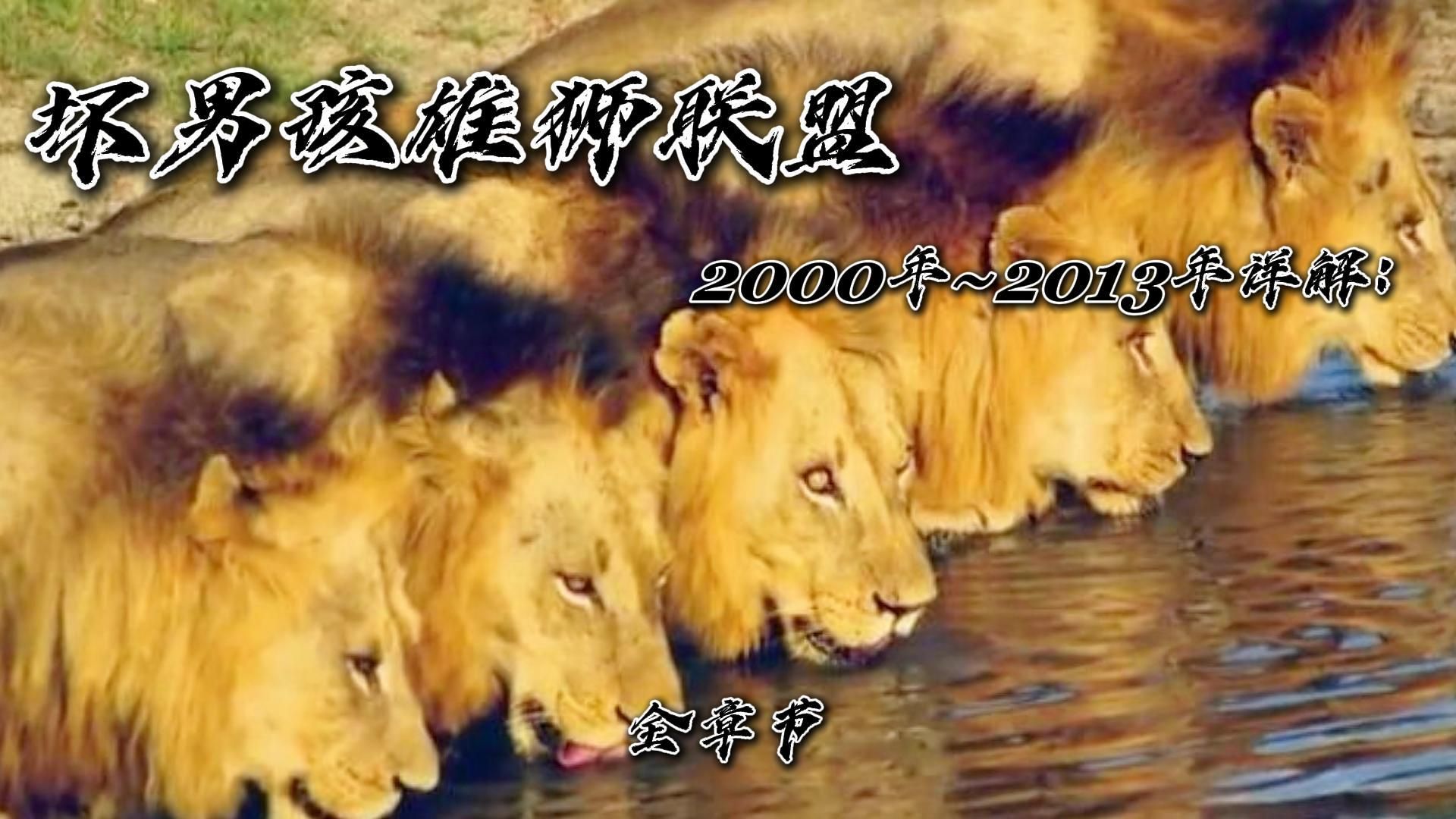 [图]坏男孩雄狮联盟2000年~2013年详解《全章节》