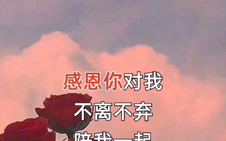 感恩老婆感谢爱妻