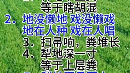 最火的种地文案#农民 #农业 #三农哔哩哔哩bilibili