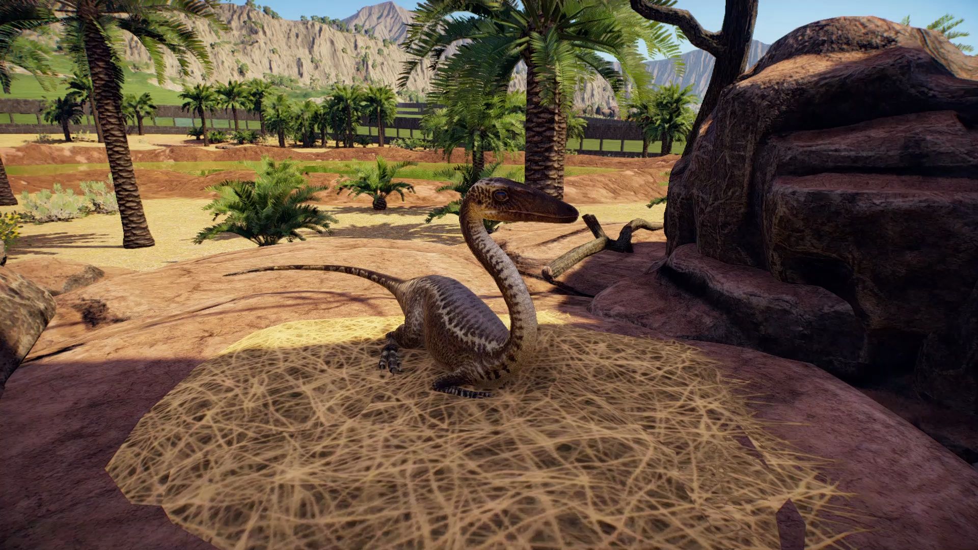 史前王国生物展示——coelophysis bauri鲍氏腔骨龙