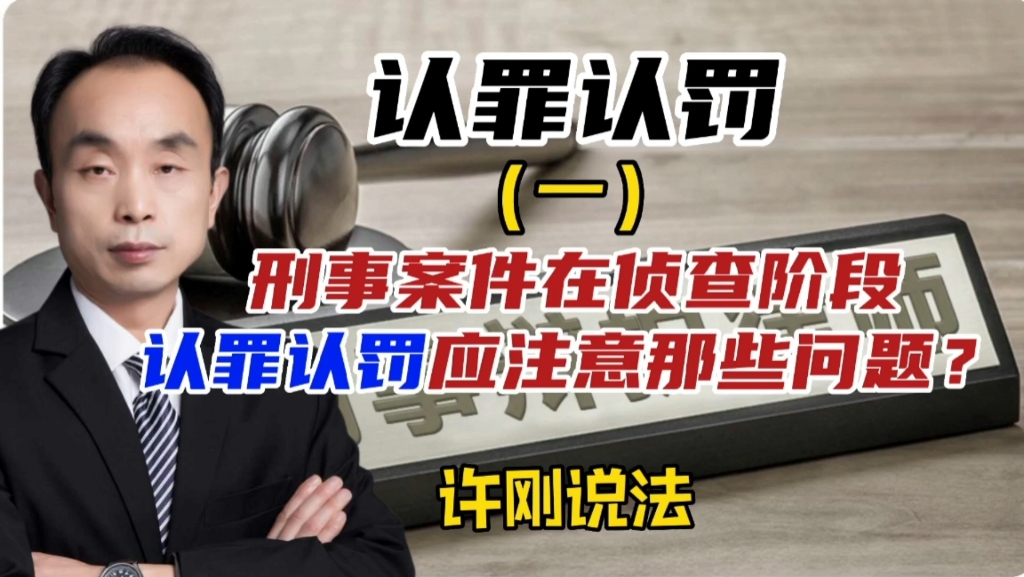 刑事案件在侦查阶段认罪认罚应注意哪些问题?哔哩哔哩bilibili