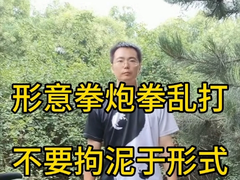 形意拳炮拳乱打(不要拘泥于形式)