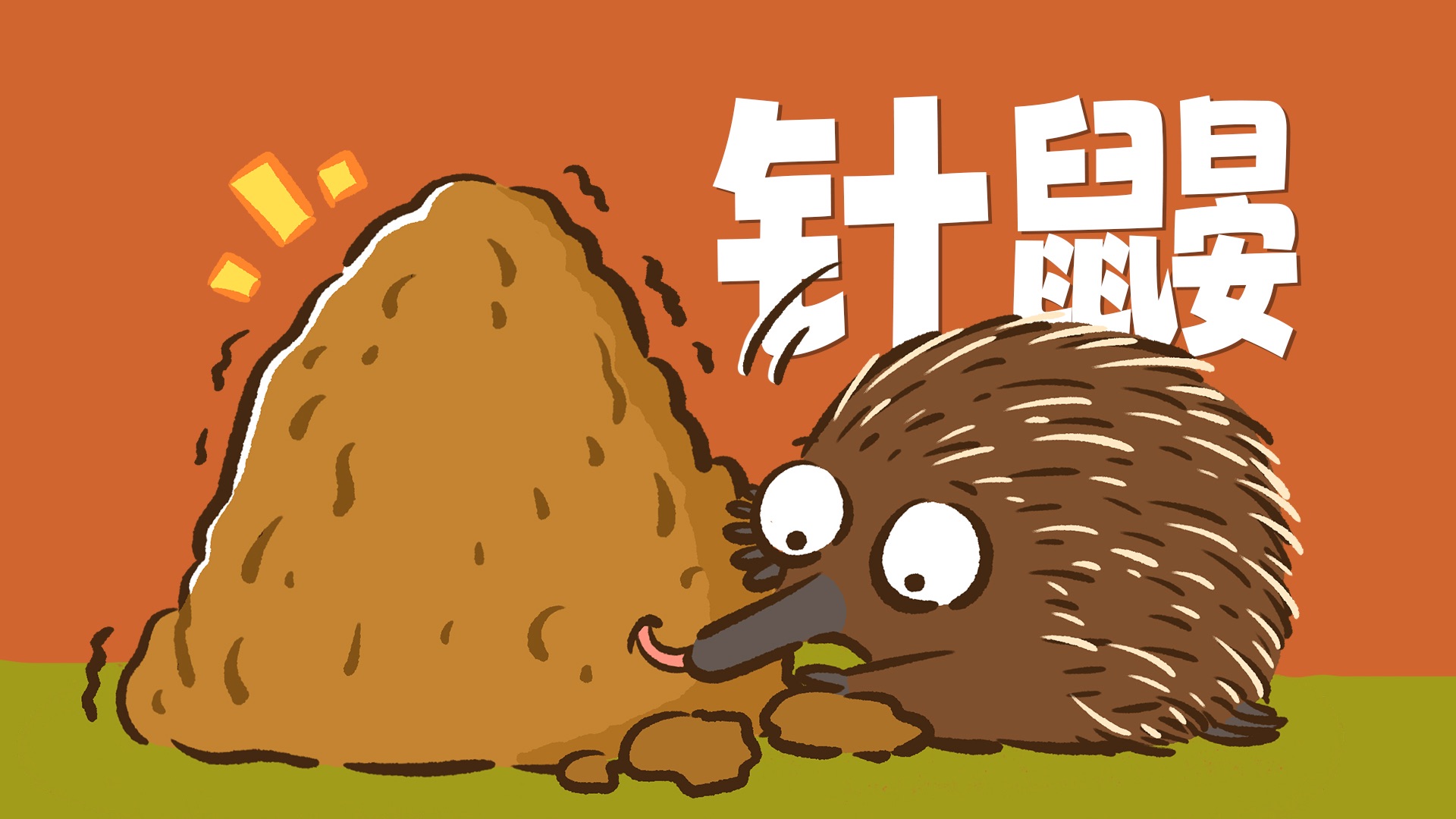 【花小烙】说起神奇动物，针鼹必须算一个！