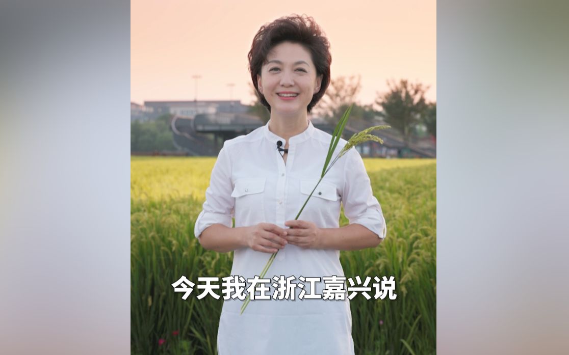 【主播说联播】丰收在望！海霞在嘉兴说“嘉禾万事兴”