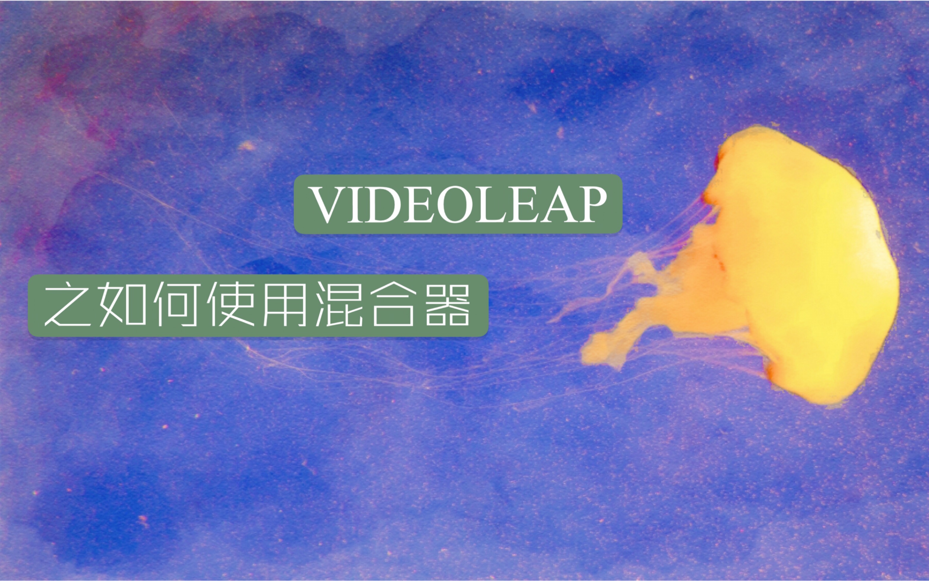 【videoleap解锁】一分钟学会如何使用混合器哔哩哔哩bilibili