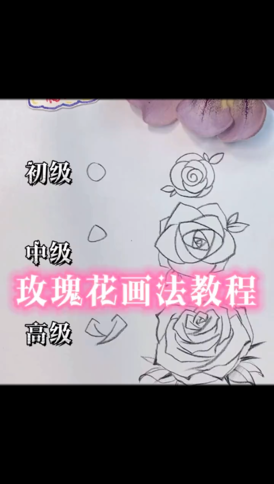 玫瑰花画法教程哔哩哔哩bilibili