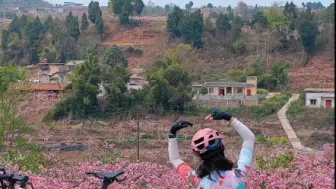 Tải video: 宝狮村的桃花开了，花多景美还没人，何必去桃花故里凑热闹呢？