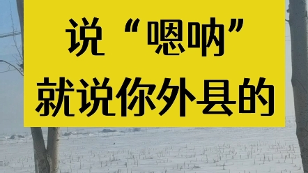 在哈尔滨不能随便说“嗯呐”,否则说你是外县人 #哈尔滨 #外乡人 #东北话哔哩哔哩bilibili