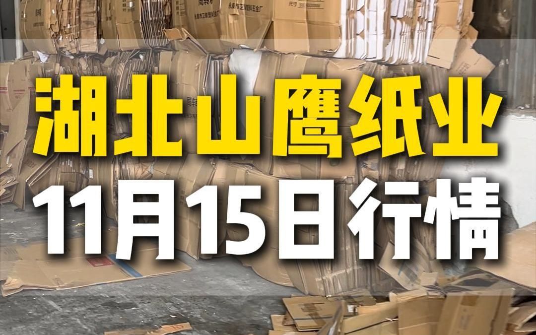 11月15日湖北荆州山鹰纸业今日行情参考哔哩哔哩bilibili