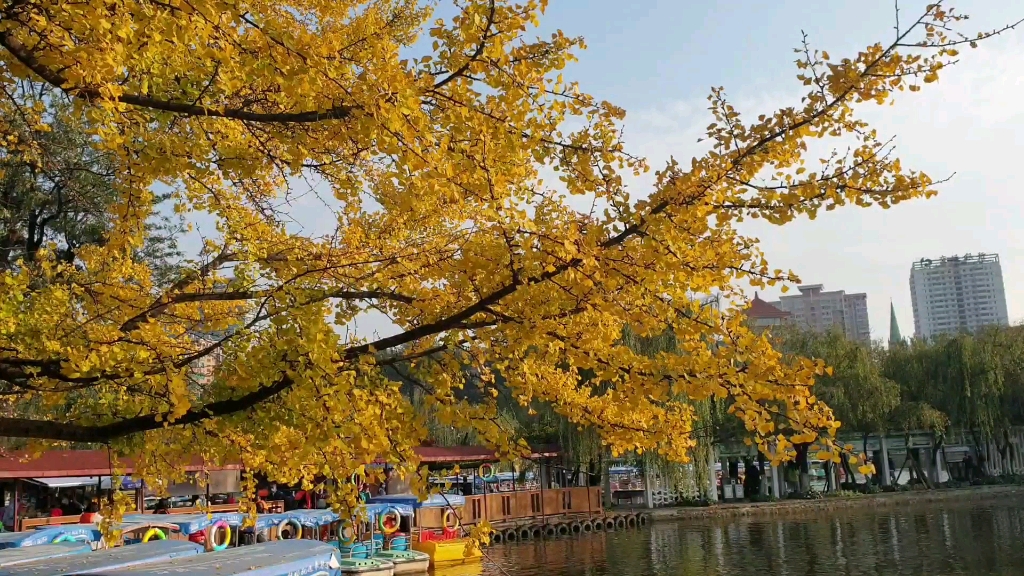 秋天的翠湖图片