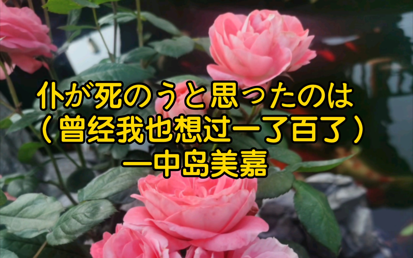 中岛美嘉《仆が死のうと思ったのは》 (曾经我也想过一了百了),很好听的一首日语歌.一边赏花一边听歌吧.哔哩哔哩bilibili