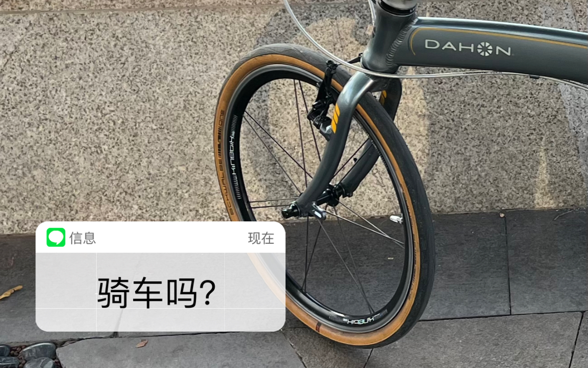 [大行DAHON]点击进入游戏…哔哩哔哩bilibili