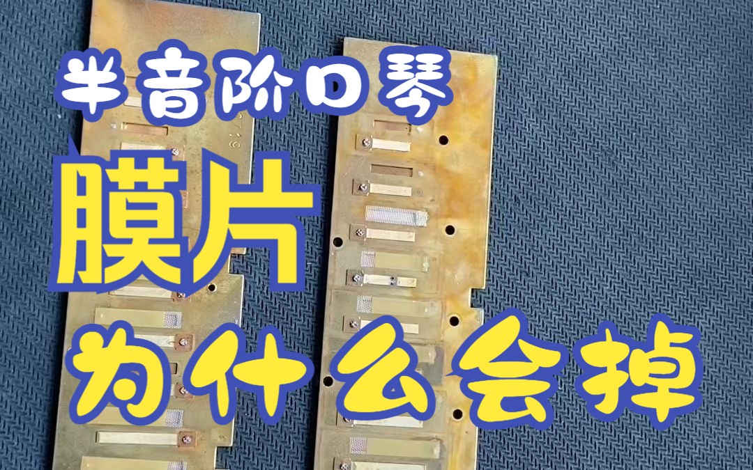 【半音阶口琴】膜片为什么会掉?什么情况下需要更换膜片?