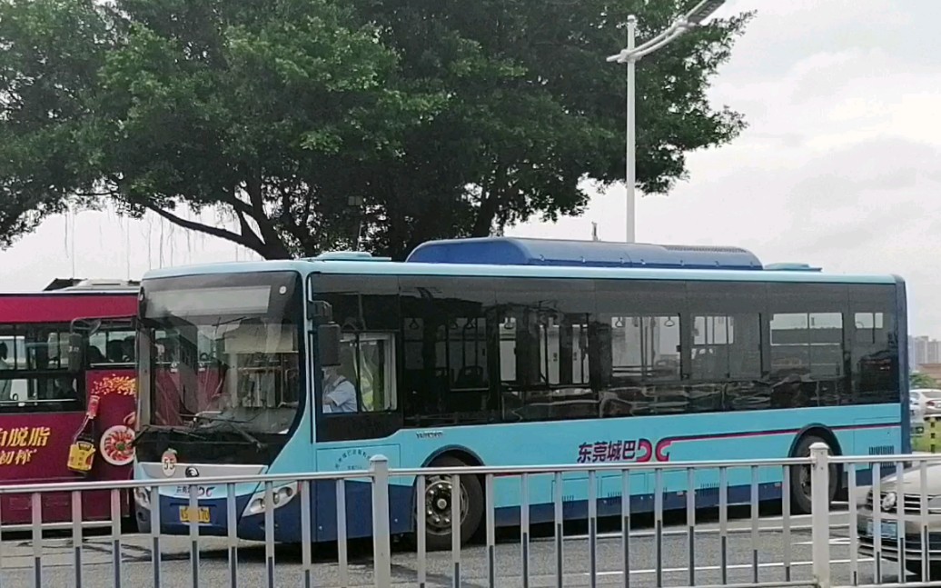 东莞公交随手拍东莞城巴55路宇通e10出场