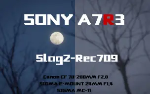 Download Video: 【测试对比】Sony A7R3 四千万像素旗舰机只能拍照？拍摄视频怎么办？Slog2压缩动态范围 走好调色第一步