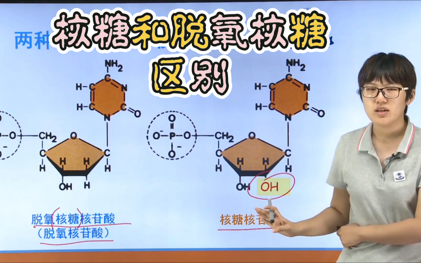 核酸〗脱氧核糖和核糖的区别