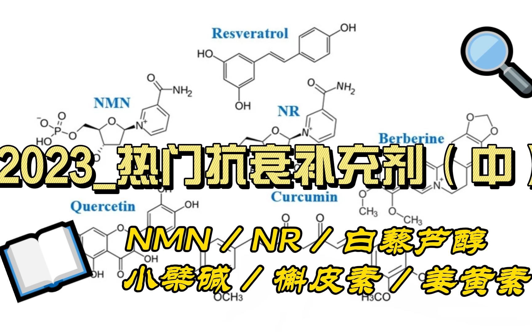 2023热门抗衰补充剂(中):小檗碱、槲皮素(黄连素)哔哩哔哩bilibili