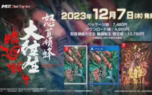 Download Video: 【神作移植】PS4/NS 怒首領蜂大往生 临回转生 发售宣传片预告PV vol.1