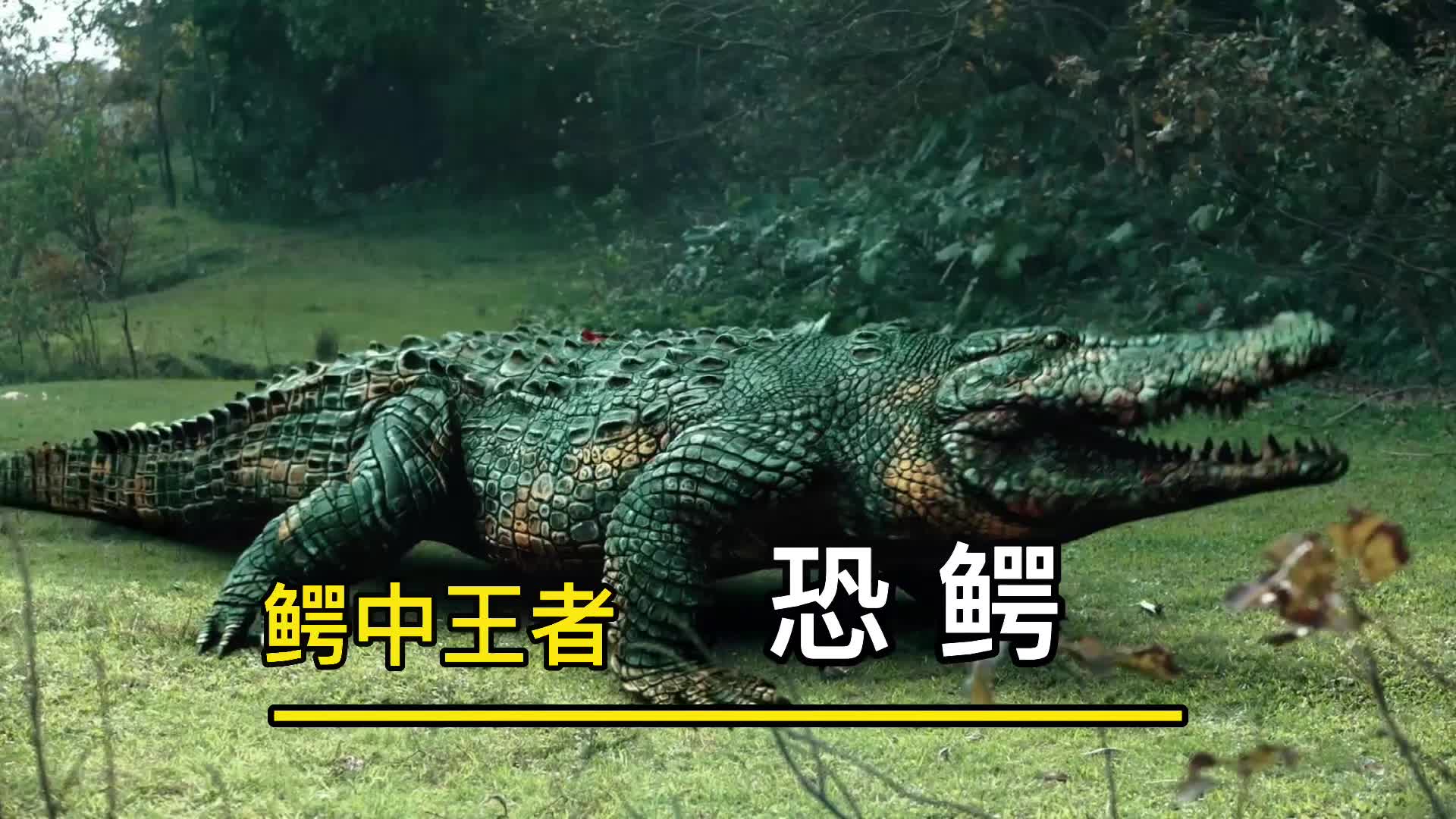 白垩纪的吞龙巨兽恐鳄,以恐龙为食,单挑霸王龙?_哔哩哔哩_bilibili