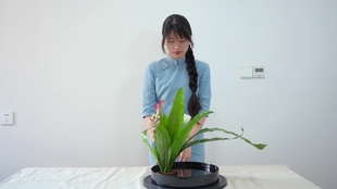 花艺 甜甜的圆圆的手捧花 哔哩哔哩 つロ干杯 Bilibili
