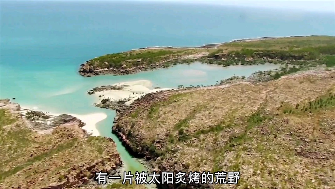德爷澳大利亚荒野求生,吃上海鲜烧烤,盐烤坚果,住海景"别墅" #荒野