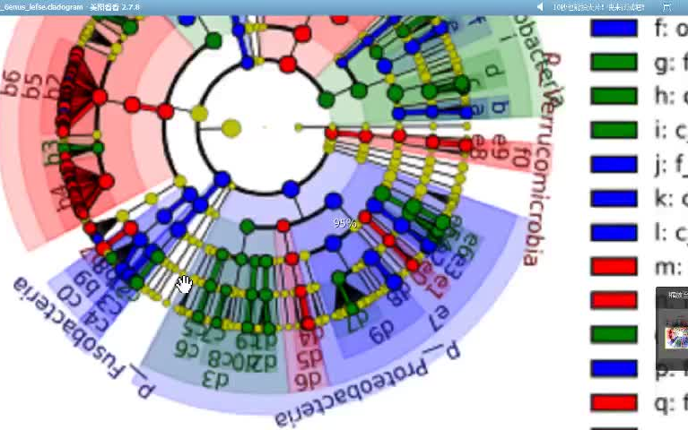 微科盟16S分析报告解读哔哩哔哩bilibili