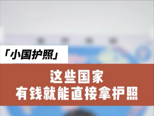 圣卢西亚 圣基茨 瓦努阿图这些国家有钱就能直接拿护照!哔哩哔哩bilibili