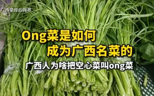 Скачать видео: Ong菜，是如何成为广西名菜的？广西人为什么把空心菜叫做ong菜？