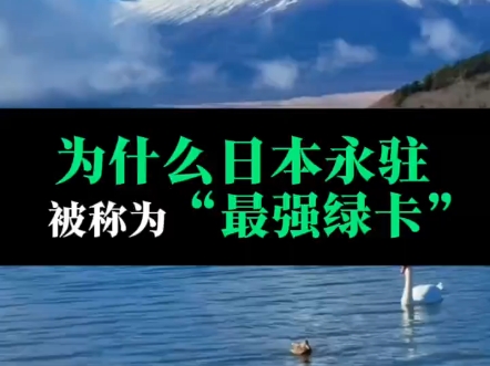 为什么日本永驻被称为最强绿卡哔哩哔哩bilibili