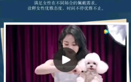 赵丽颖浪琴代言每一次都好美啊啊啊啊哔哩哔哩bilibili