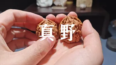 野生精品文玩核桃/-哔哩哔哩_Bilibili