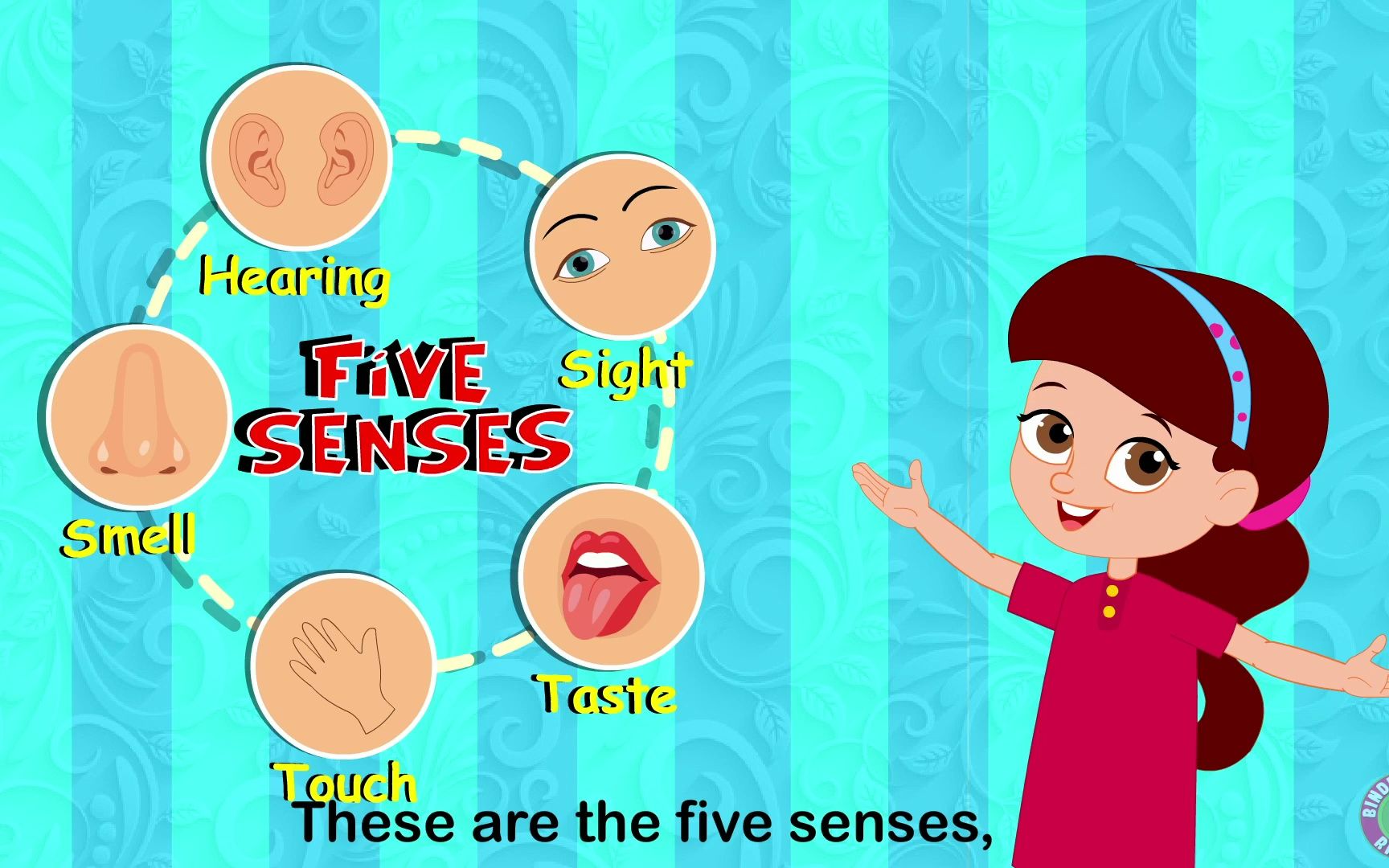 感官歌five senses song educational rhymes kids songs bindis