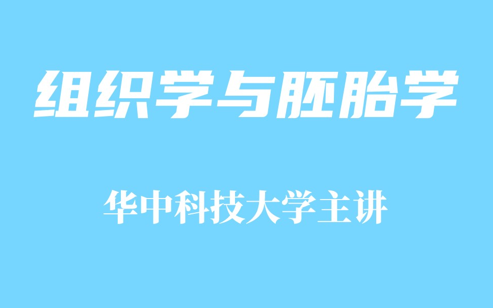 【精品课程】组织学与胚胎学(合66讲)马保华 李和哔哩哔哩bilibili