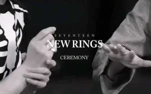 Download Video: 【SEVENTEEN】seventeen互戴新团戒