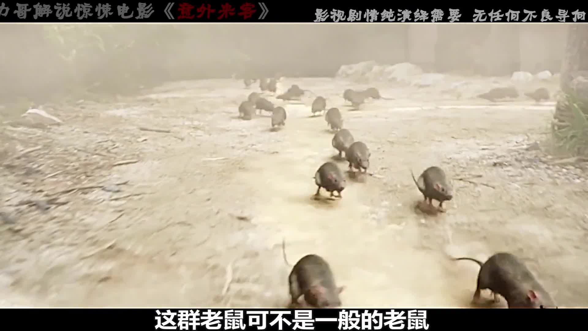 比恐怖电影还恐怖的,是人性,惊悚电影《意外来客》