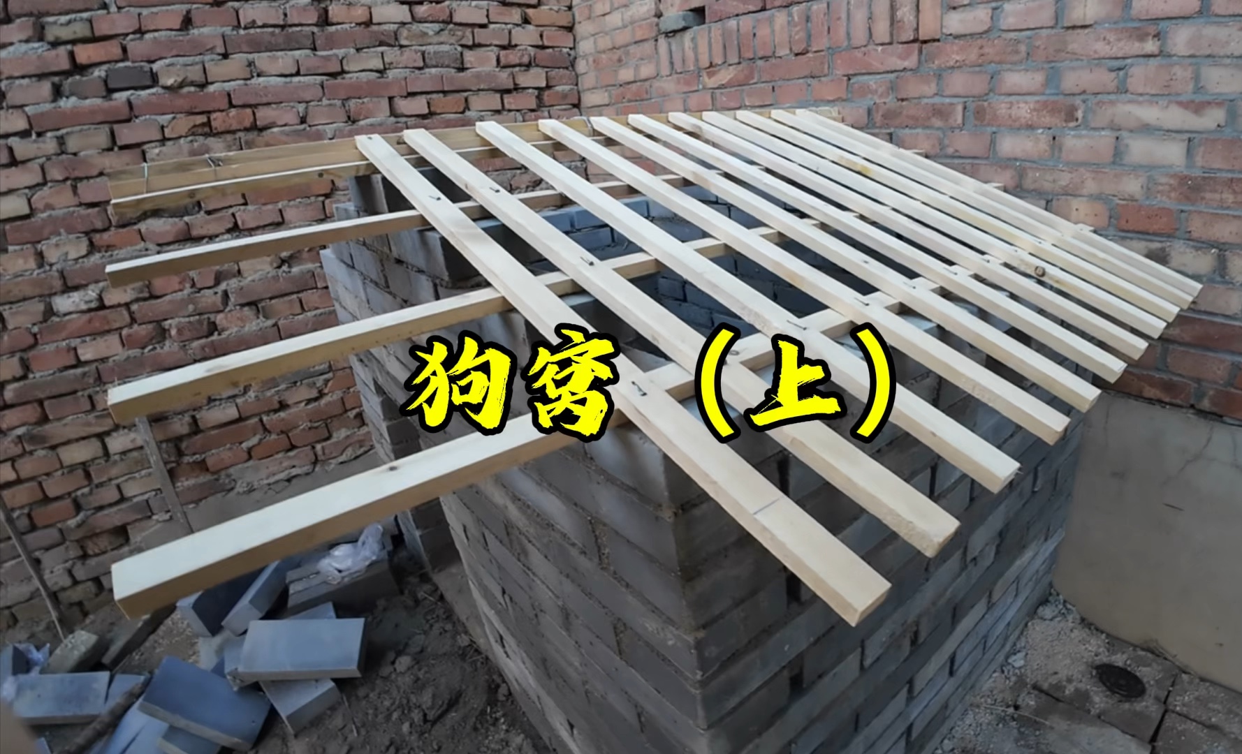 自建狗屋,院长很喜欢