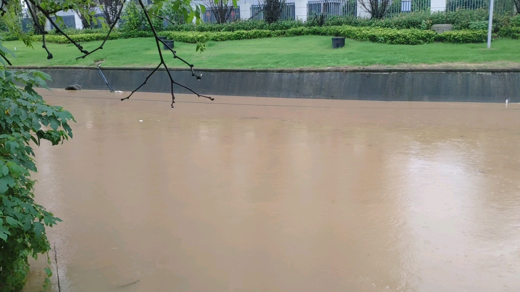宜兴这雨要是再下下去小区都要淹掉了