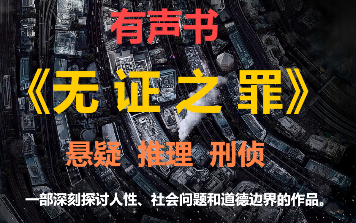 【有声书】《无证之罪》