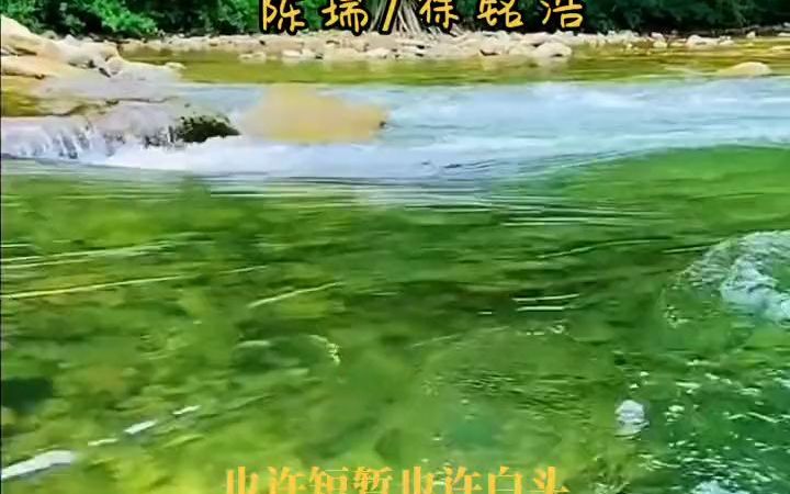 [图]陈瑞，徐铭浩《爱就爱了错就错了》爱就大胆的去爱，不给自已留遗憾