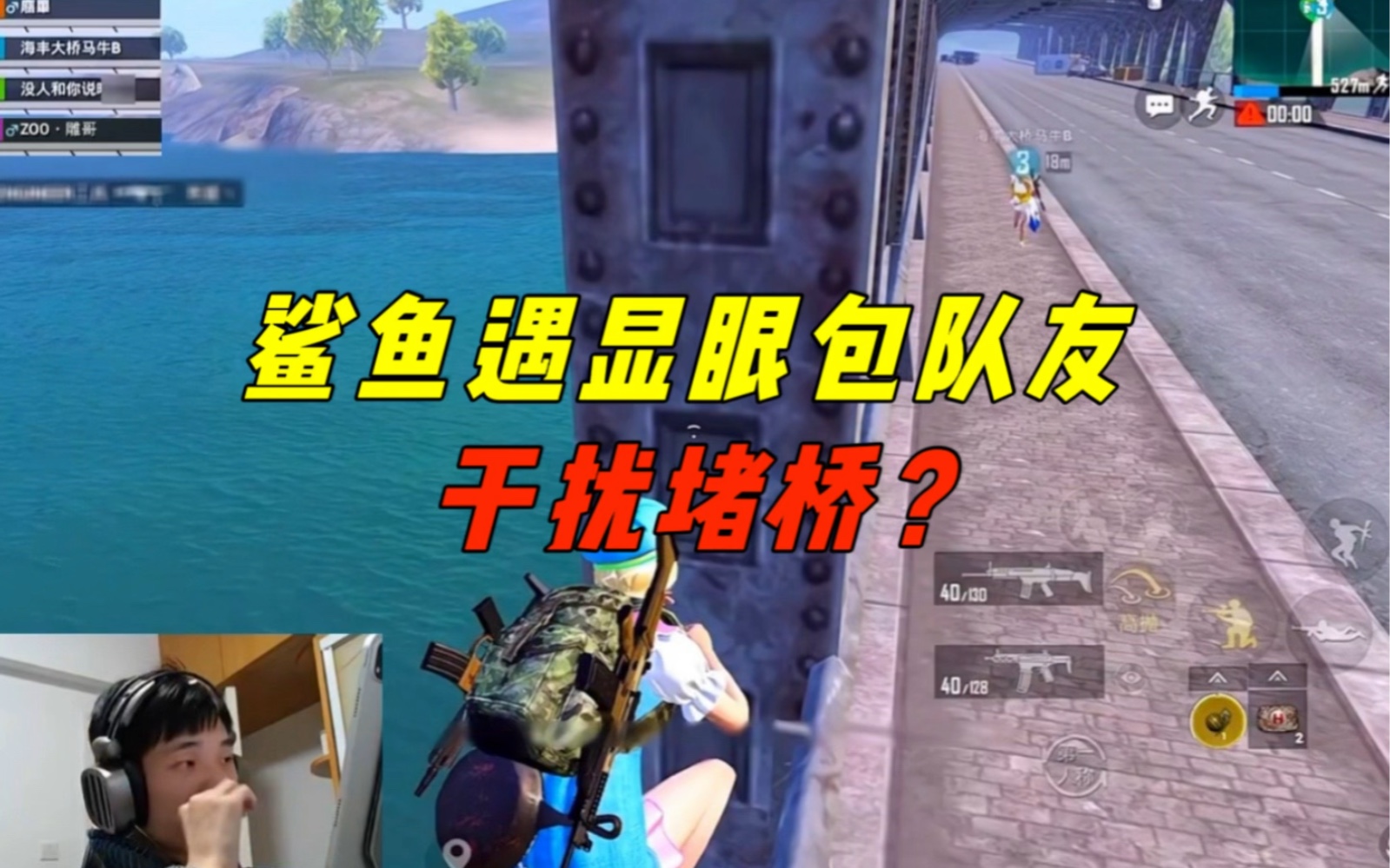 鲨鱼遇到显眼包队友,还干扰起堵桥来了?-鲨雕哟sdy-鲨雕哟sdy-哔哩哔哩视频