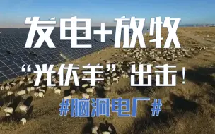 Descargar video: 谁的脑洞这么大？！发电放牧两不误的“光伏羊”真香！