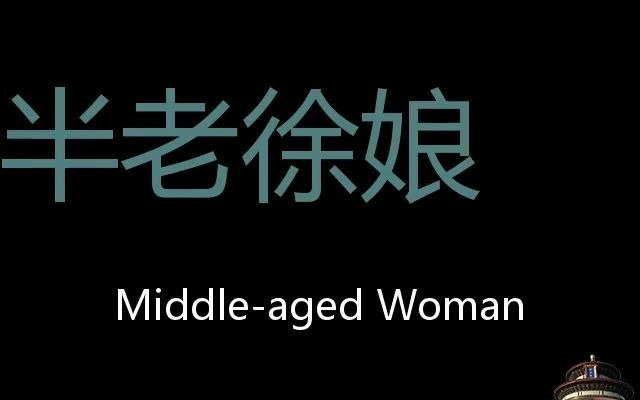 半老徐娘 Chinese Pronunciation middleaged woman哔哩哔哩bilibili