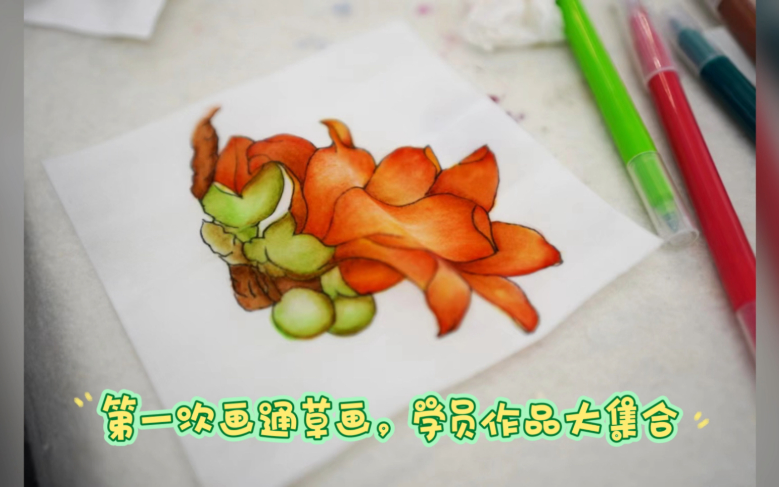 颜康平老师的通草画教学花絮哔哩哔哩bilibili