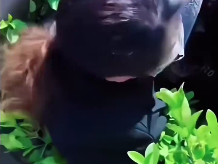 无语了!