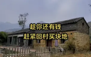 Download Video: 趁着你还有点钱，赶紧回村买块地，不要问我为什么，以后你会感激我的…