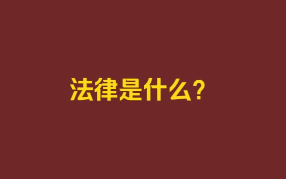 法律是什么?哔哩哔哩bilibili